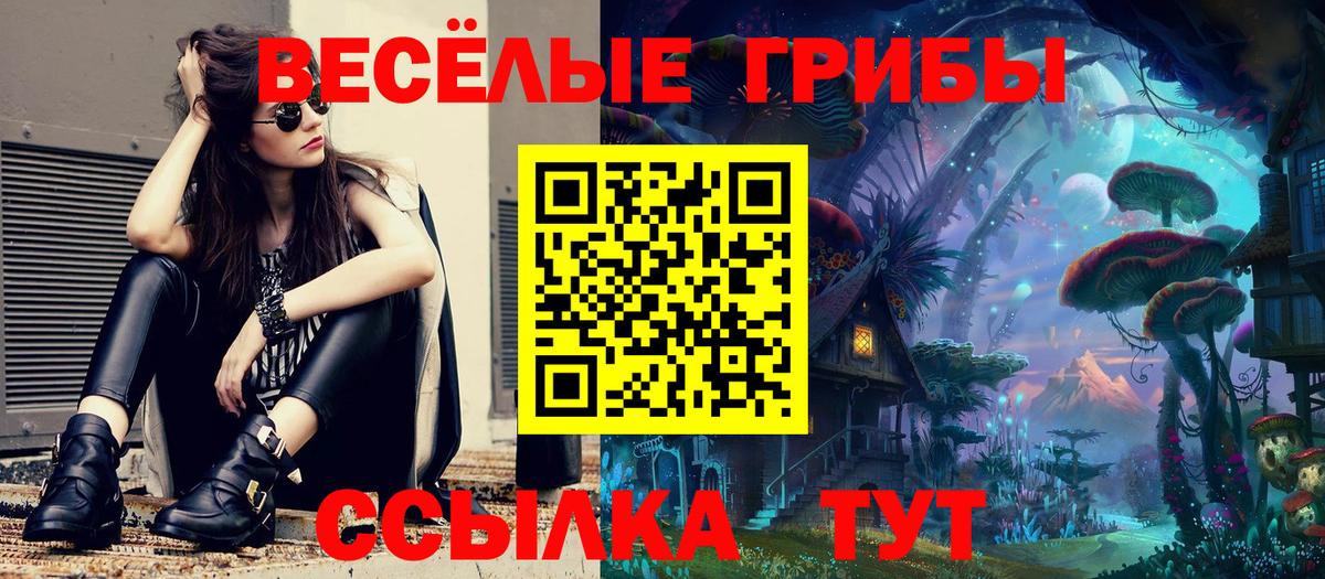 Псилоцибиновые грибы GOLDEN TEACHER Кохма